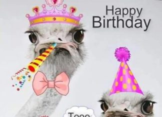 Birthday Inspiration: Happy Birthday