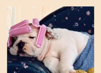 Birthday Inspiration: Happy Birthday