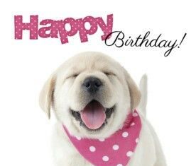 Happy Birthday Wiches : Happy Birthday!