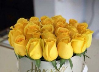 Happy Birthday Wiches : Happy Birthday.