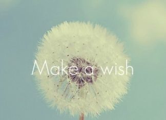 Birthday Inspiration: Happy Birthday