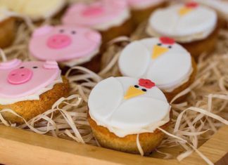 Birthday Party Inspiration : Get the Furry Friends Involved in a Petting-Zoo Birthday Party