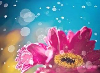 Birthday Inspiration: Happy Birthday!