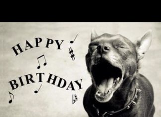 Birthday Inspiration: Happy Birthday!