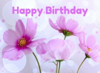 Happy Birthday Wiches : Happy Birthday.