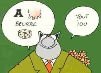 Happy Birthday Wiches : Le Chat / anniversaire