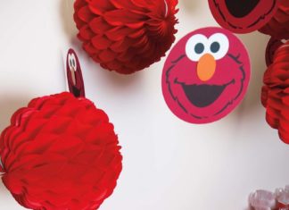 Birthday Party Inspiration : Yes, You Can Have a Sophisticated Elmo Party — See How Martha Stewart Did It!