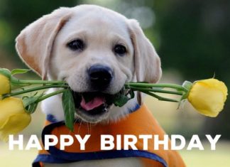 Happy Birthday Wiches : Happy Birthday.