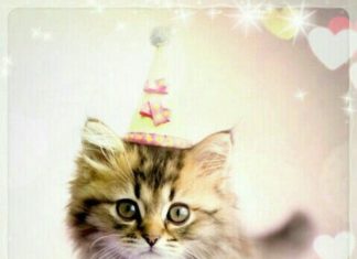 Happy Birthday Wiches : Happy Birthday!