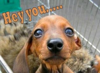 Happy Birthday Wiches : Happy birthday