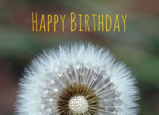 Birthday Decoration : Happy Birthday! Make a wish! Click on this image to see the biggest selection of…