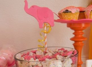 Birthday Decoration : Layered circus animal cookies at a Circus birthday party! See more party ideas a…