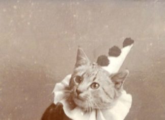 Birthday Decoration : Pierrot the kitty – c. 1890s – (Via)