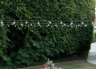 Birthday Decoration : Rug Ideas & Creative Ways To Use Rugs | Domino