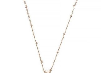 Birthday Gifts Ideas : A Beautiful Minimalist Gold Semi Precious Stone Tusk Pendant Necklace