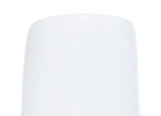 Birthday Gifts Ideas : An Delicate Gold Bird Charm Dangle Choker Necklace