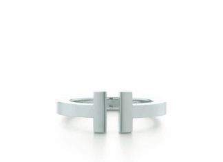 Birthday Gifts Ideas : The Modern Brushed Silver T Ring