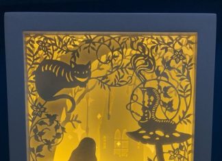 Birthday Gifts Inspiration : Alice in wonderland paper cut Light box Night light Accent Lamp wedding birthday…