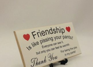 Birthday Gifts Inspiration : Best Friend Gift Funny Sign Birthday Present by Handmadeskproducts (Best Friend …