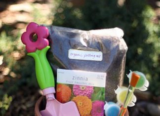 Birthday Gifts Inspiration : Birthday gift idea.