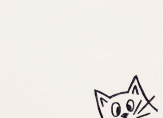 Birthday Gifts Inspiration : A very surprised cat makes peek-a-boo at you from the paper edge. Hes cool, isnt…