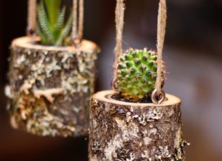 Birthday Gifts Inspiration : Liste est pour un seul journal porte plante. Ce cache-pot est conçu pour les pl…