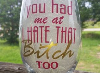 Birthday Gifts Inspiration : You had me at I HATE that Bitch Too / Funny Wine Glass / Wine Tumbler / Best Fri…