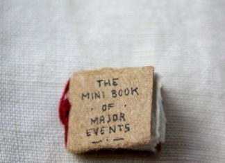Birthday Gifts Inspiration : mini books15