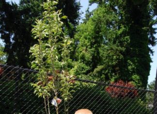 Birthday Party : Favorite First Birthday Tradition – What a meaningful birthday idea for kids.