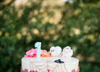 Birthday Party Inspiration : A Charlotte's Web cake!