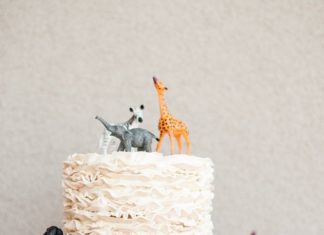 Birthday Party Inspiration : A Shabby-Chic Safari Cake