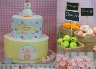 Birthday Party Inspiration : A Sweet Barnyard Birthday Party