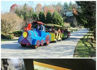 Birthday Party Inspiration : A surprise train ride on a big, colorful train was the highlight for this birthd…