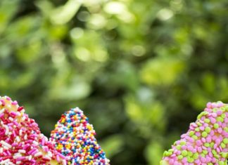 Birthday Party Inspiration : Fairy apple wands make the most magical snack for a fairy themed birthday party!