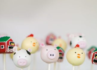 Birthday Party Inspiration : Farm animal cake pops! So Sweet!