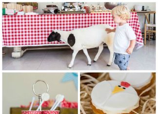 Birthday Party Inspiration : Get the Furry Friends Involved in a Petting-Zoo Birthday Party