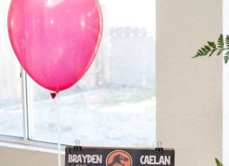Birthday Party Inspiration : Jurassic Park Birthday Party: About the birthday boy!