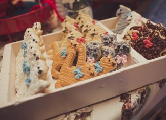 Birthday Party Inspiration : Look What the Cat Dragged In! An Amazing Ally Cat Party from Jenny Cookies! Cat …