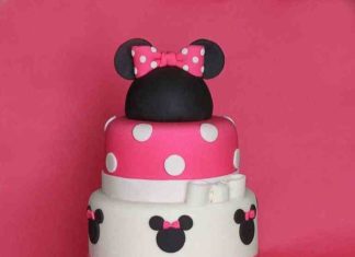 Birthday Party Inspiration : Party planning ideas for your little girl's Minnie Mouse-themed birthday bas…
