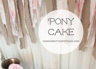 Birthday Party Inspiration : Pony Cake and Party Streamers | So Much Better With Age