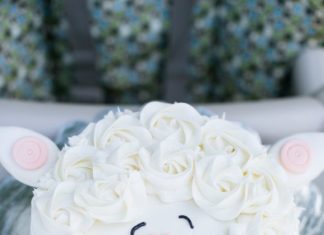 Birthday Party Inspiration : Sweet little lamb cake!