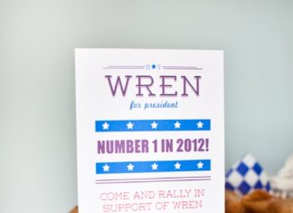 Birthday Party Inspiration : Wren For President! An Election-Inspired First Birthday Party