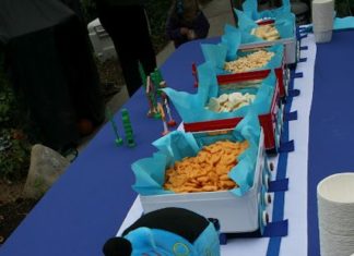 Birthday Party Inspiration : snack train for birthday party – a great way to serve food!
