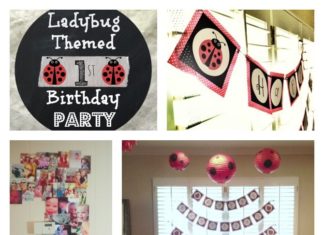 Birthday Party : Ladybug Themed First Birthday Party #birthdayparties #firstbirthday