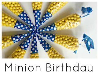 Birthday Party : Minion Theme Birthday Party Ideas and Decorations | The Jenny Evolution