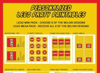 Birthday Party : Very necessary for the Lego party.