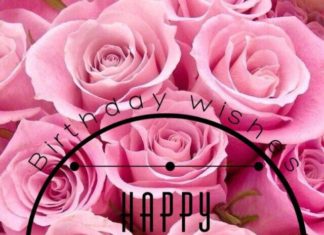 Happy Birthday Wiches : Birthday Greetin0gs….