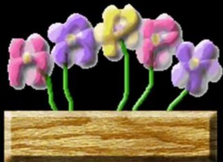 Happy Birthday Wiches : Funny Happy Birthday Animated Greetings – Happy Birthday Wishes with Music