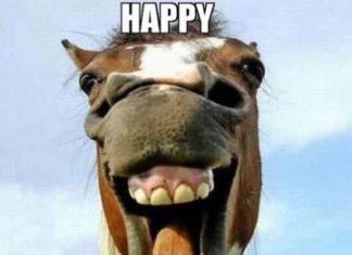 Happy Birthday Wiches : Funny happy birthday memes for guys kids sister husband.Hilarious bday meme rude…