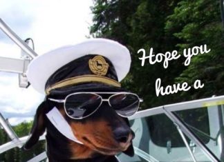 Happy Birthday Wiches : Happy Birthday Victor 08/04/2017